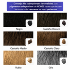 Polvo Corrector Capilar IRONES