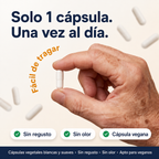 Suplemento Avanzado para la Vista 15 en 1